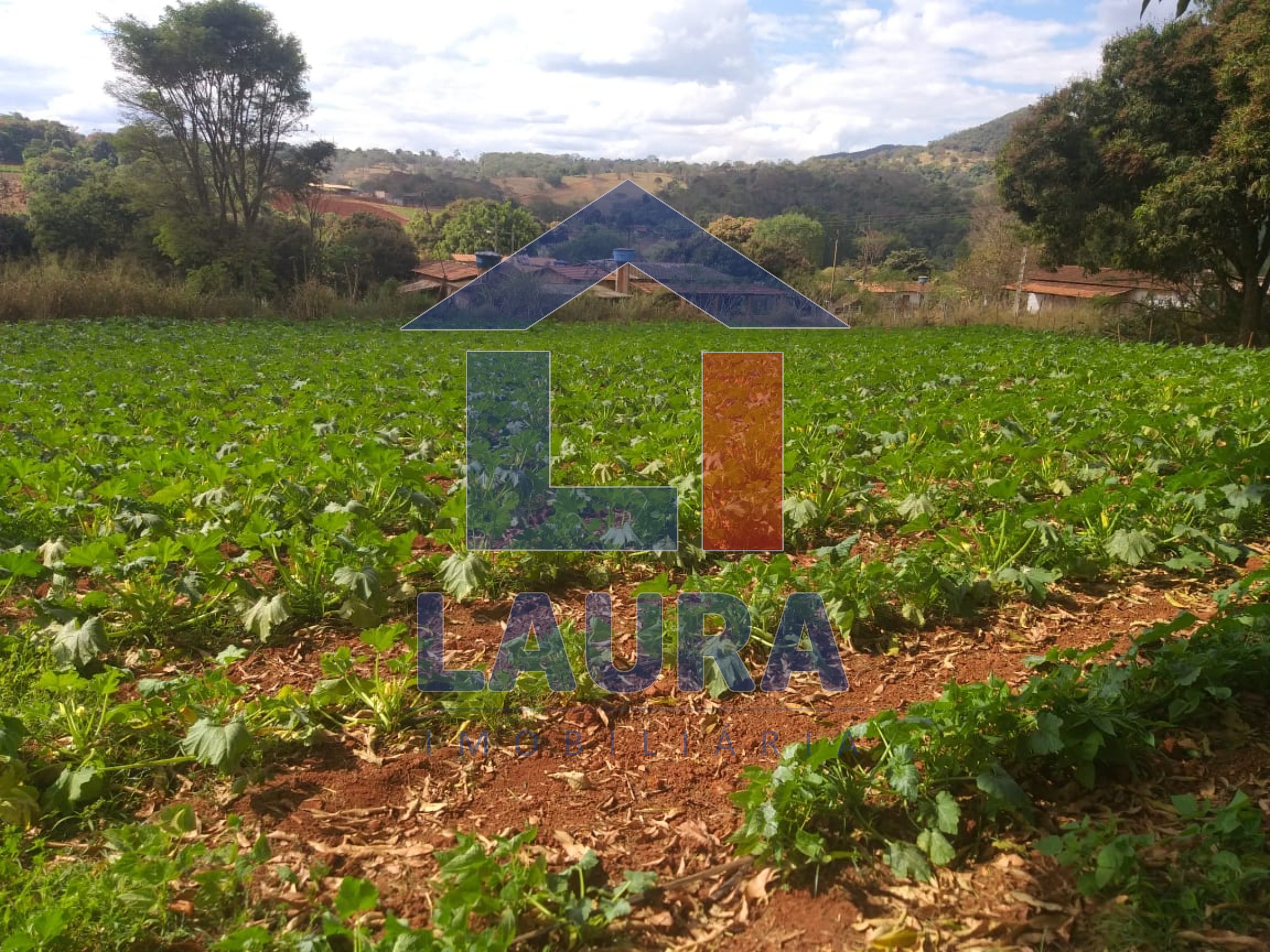 Terreno, 2000 m² - Foto 1