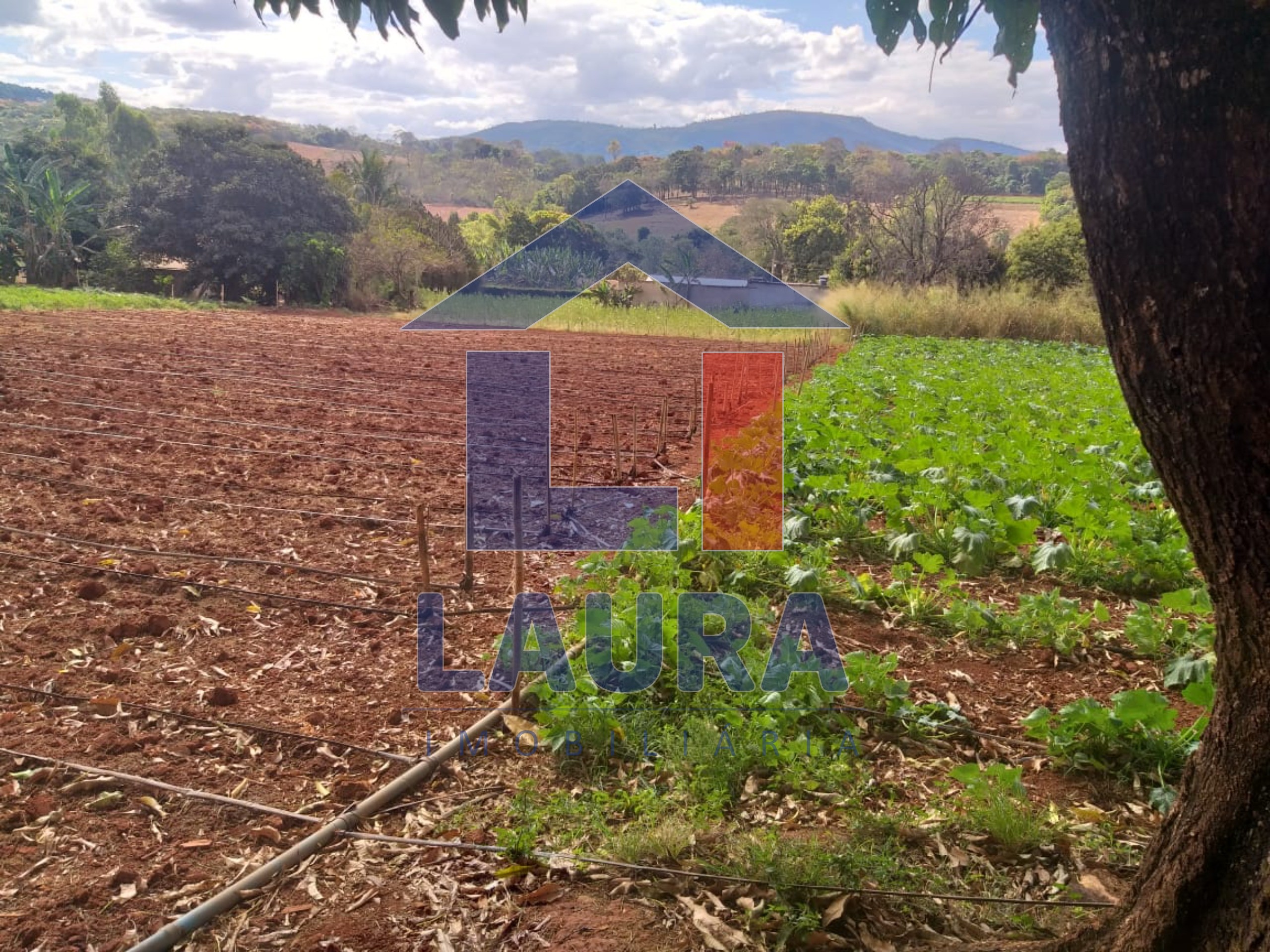 Terreno, 2000 m² - Foto 9