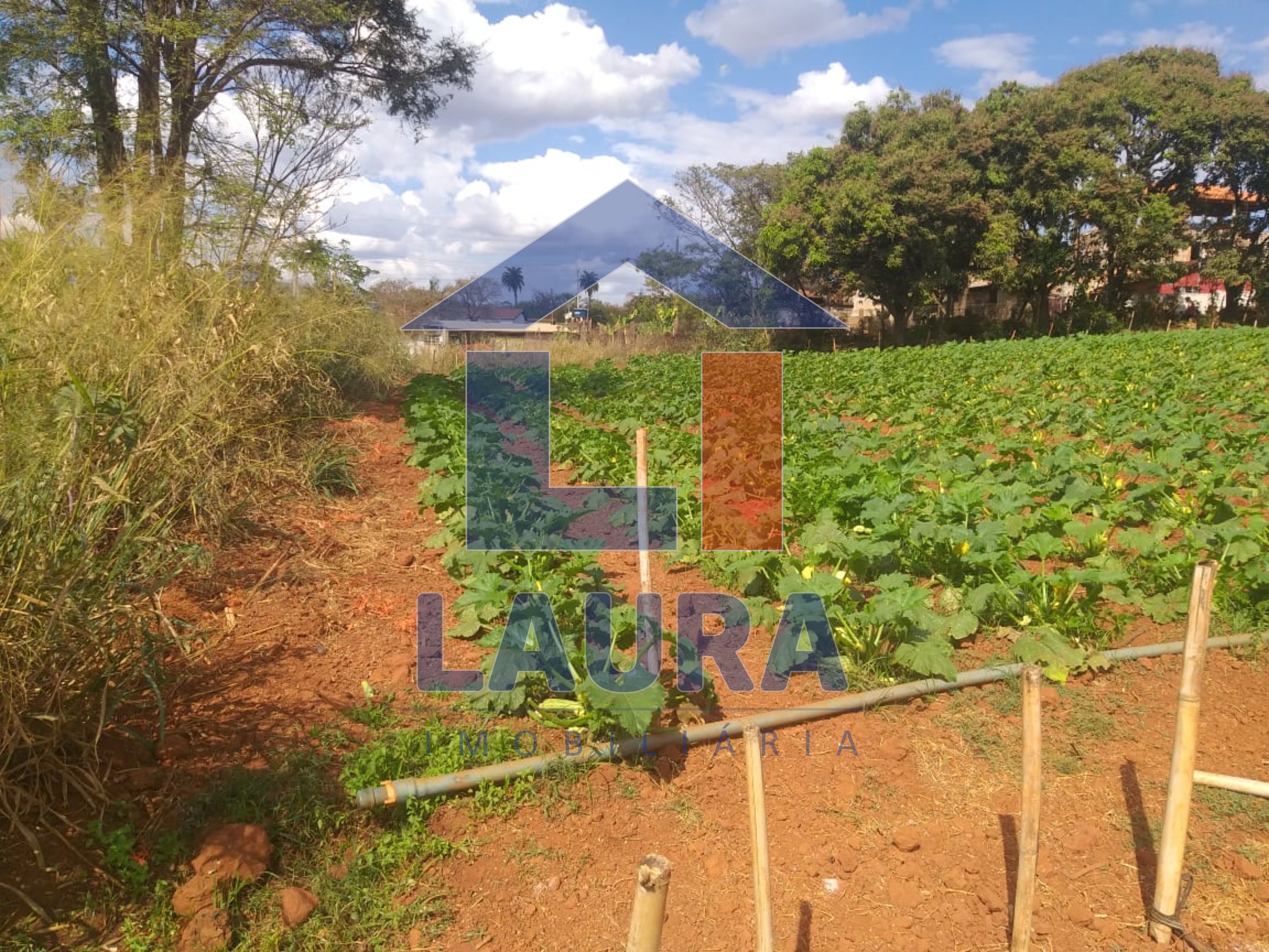 Terreno, 2000 m² - Foto 10