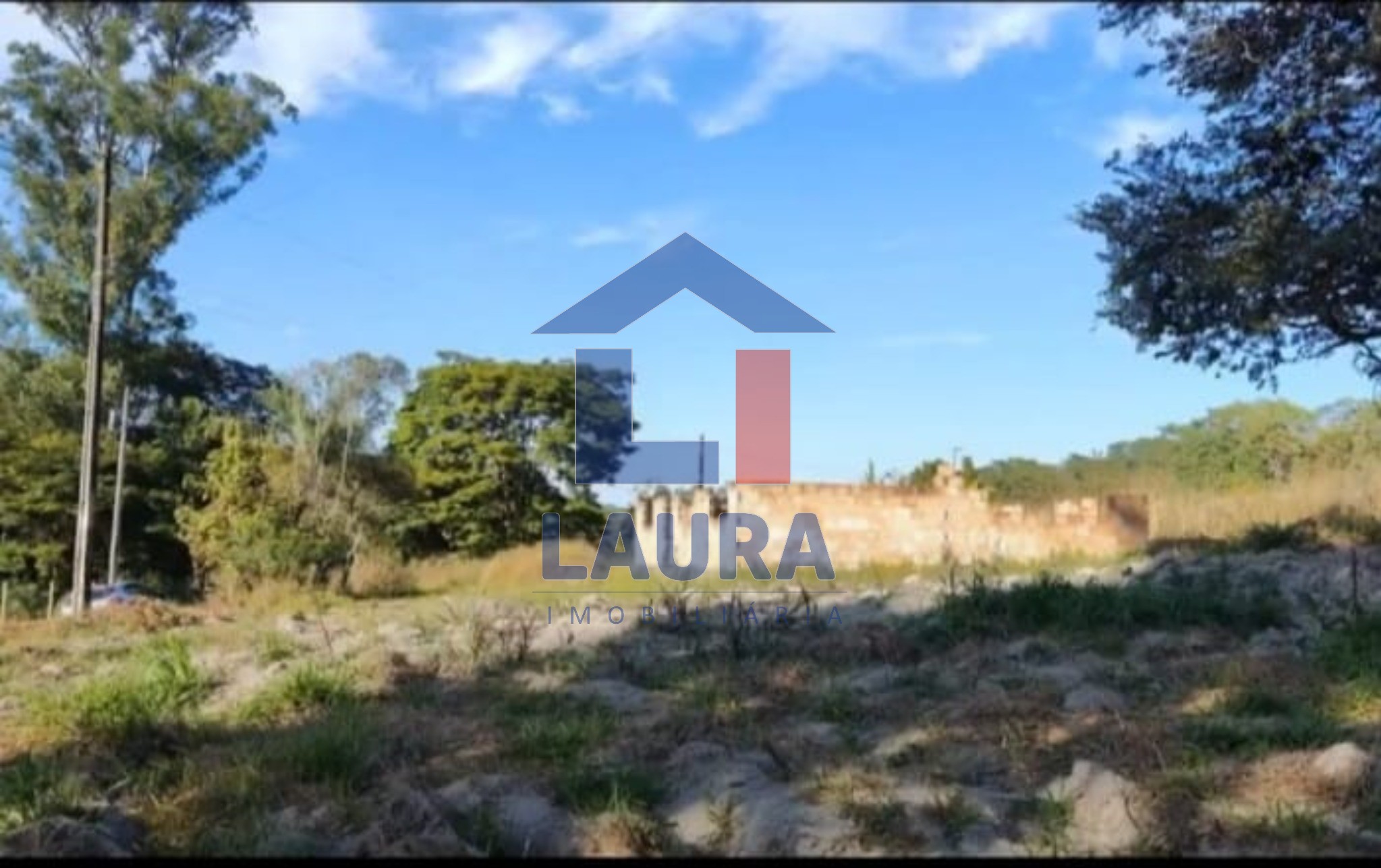 Chácara, 3 quartos, 5500 m² - Foto 1