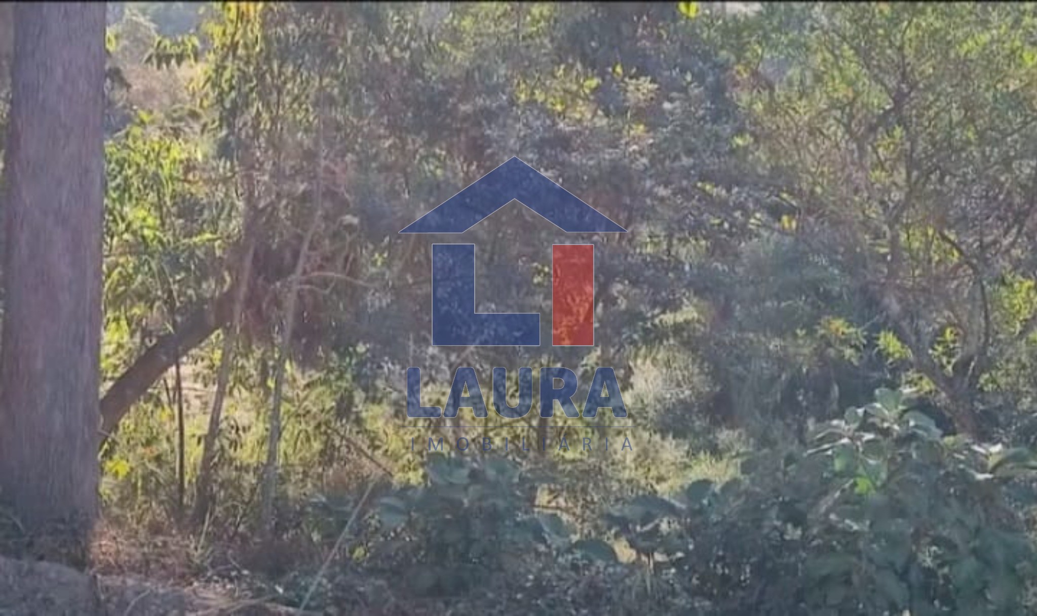 Chácara, 3 quartos, 5500 m² - Foto 6