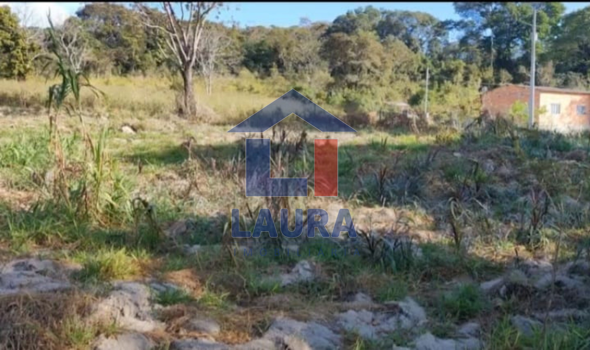 Chácara, 3 quartos, 5500 m² - Foto 3