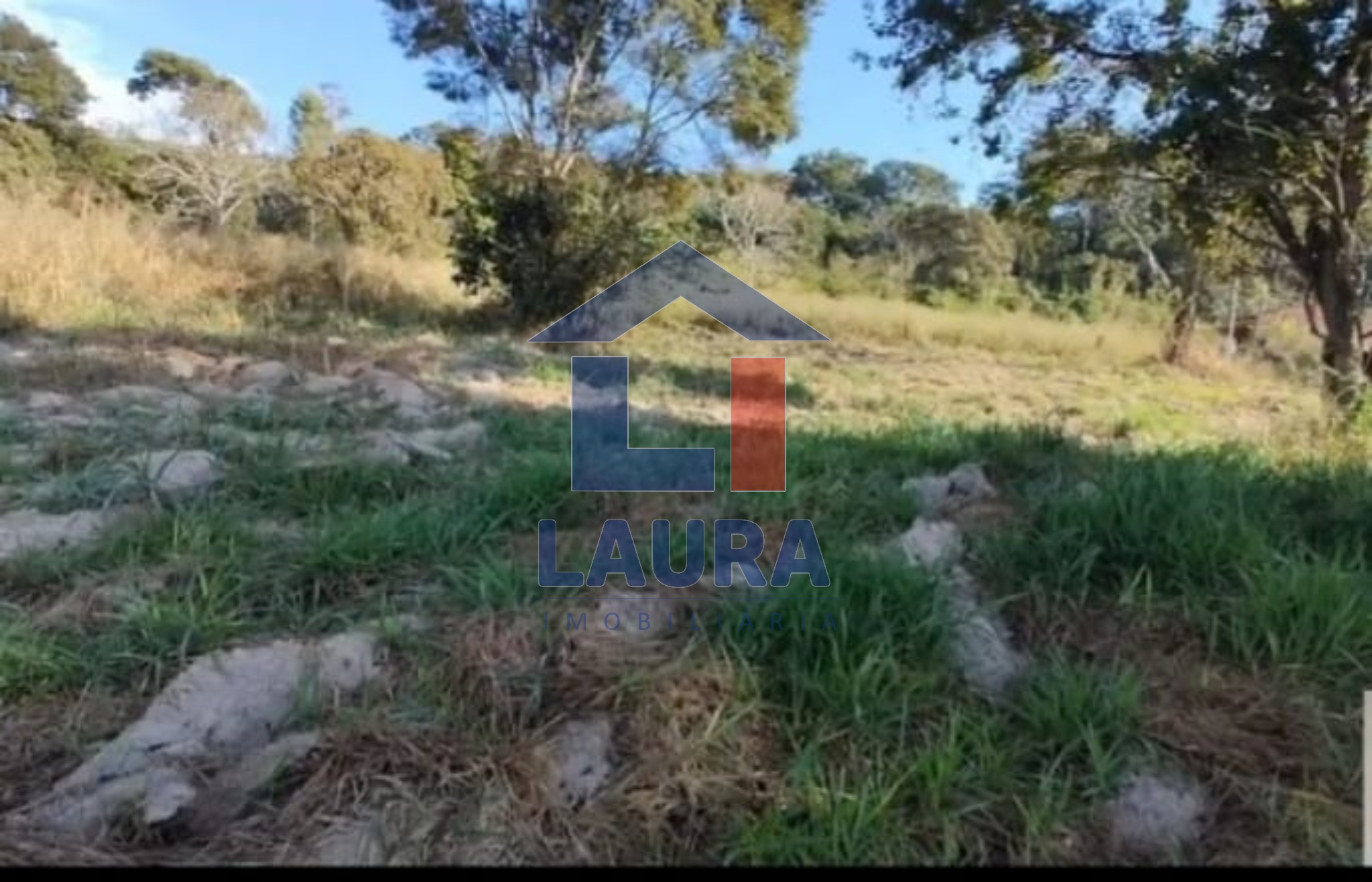 Chácara, 3 quartos, 5500 m² - Foto 2