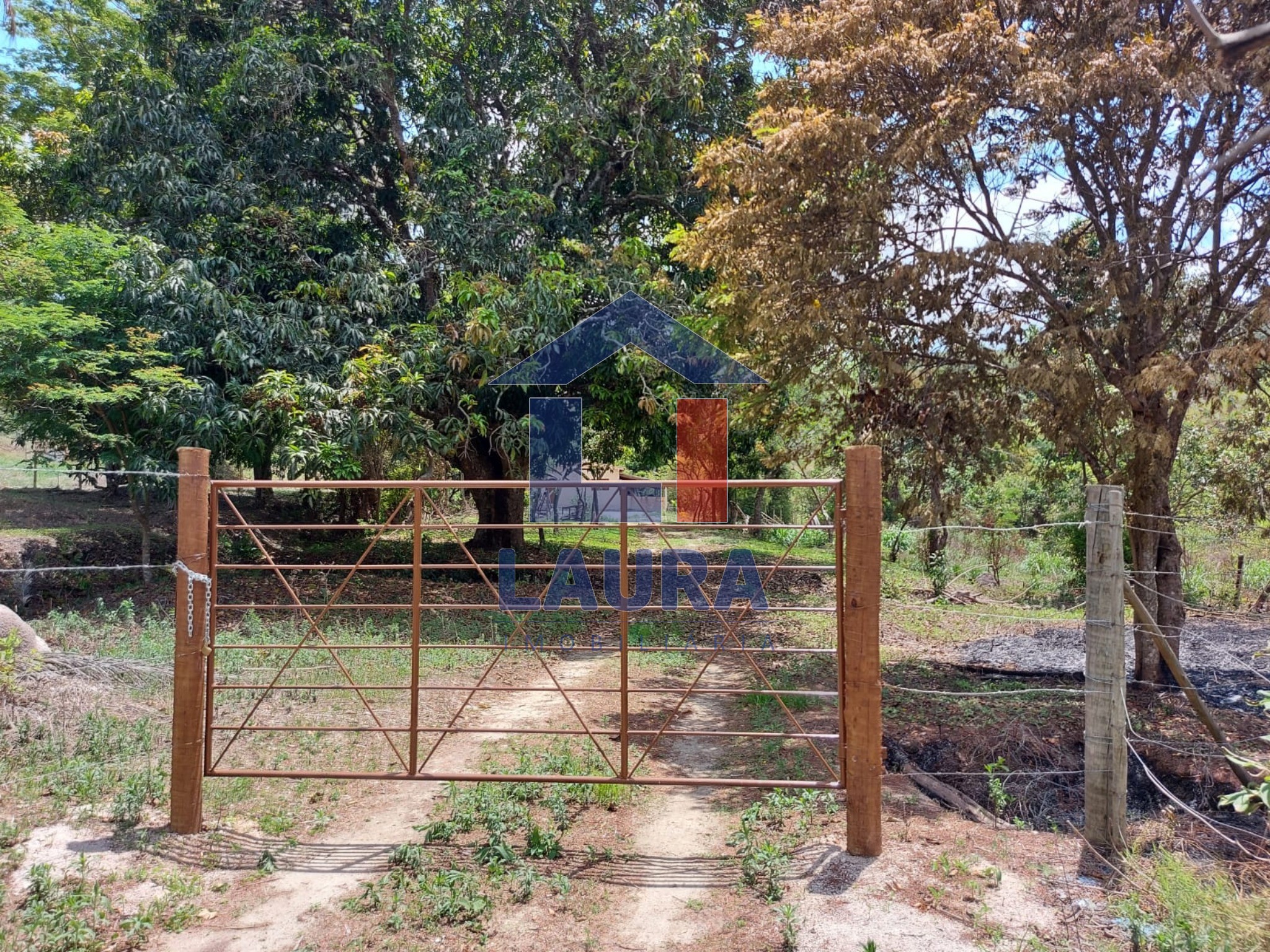 Sítio, 5 quartos - Foto 3