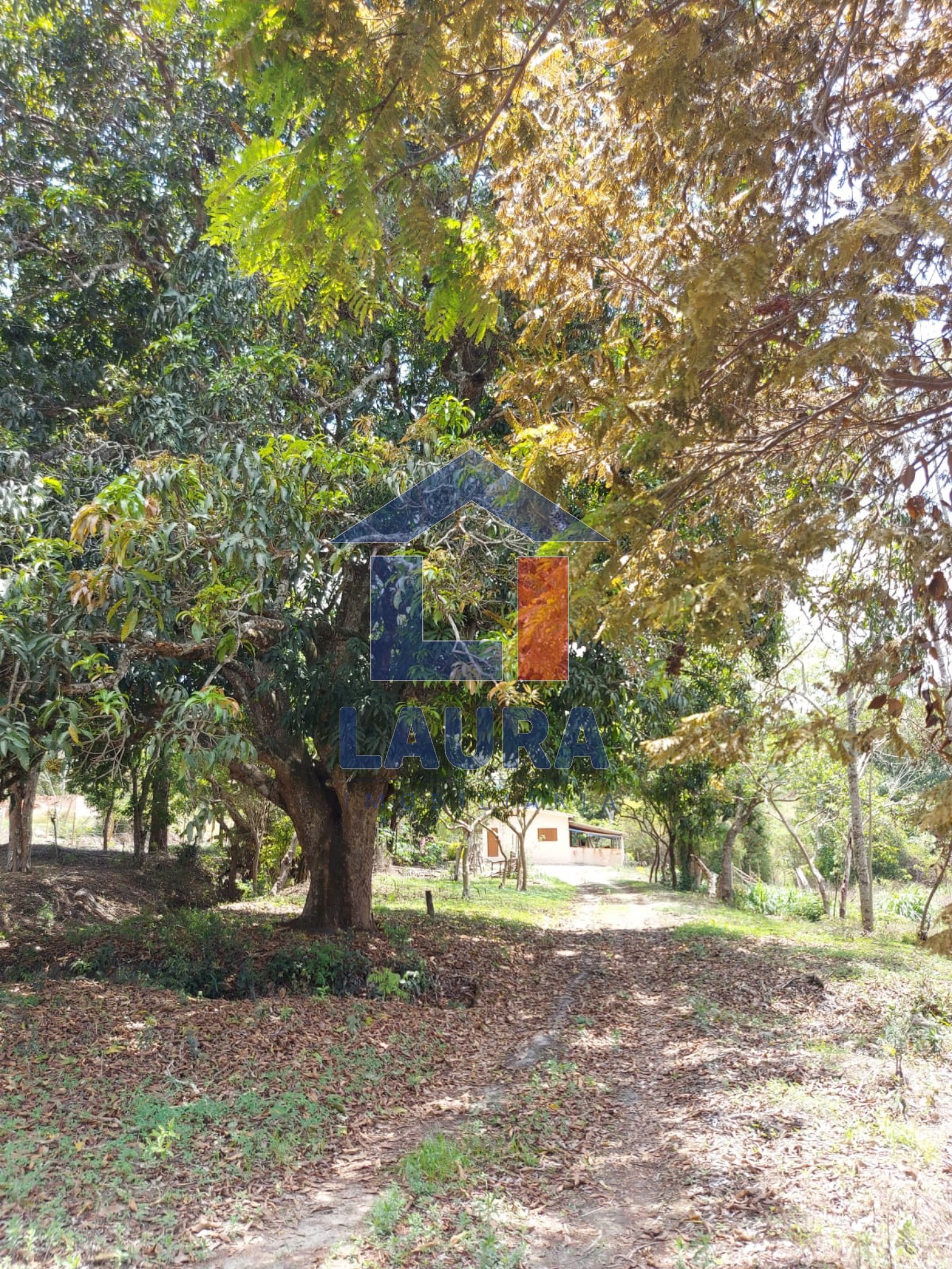 Sítio, 5 quartos - Foto 2