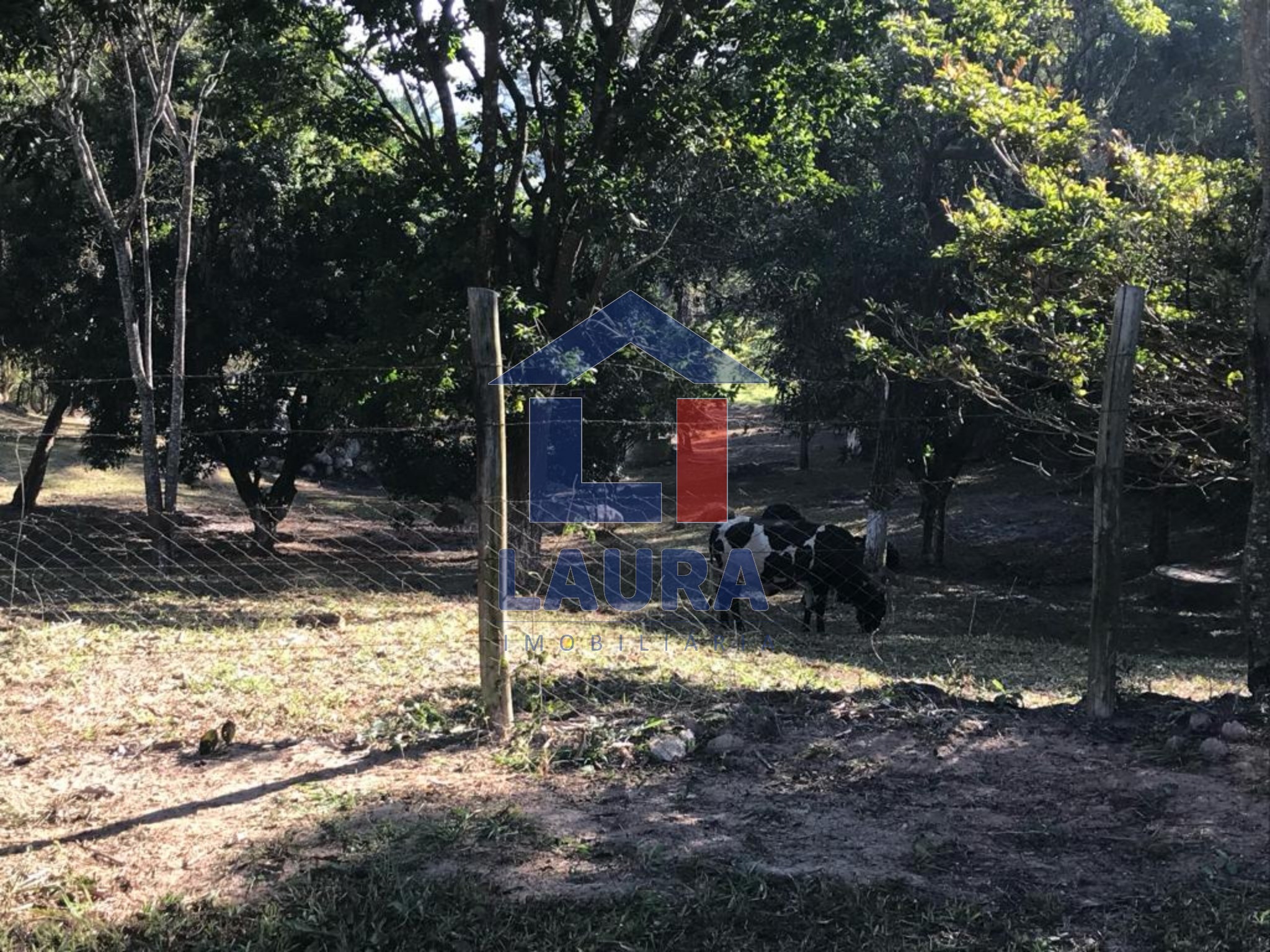 Chácara, 3 quartos, 5100 m² - Foto 8