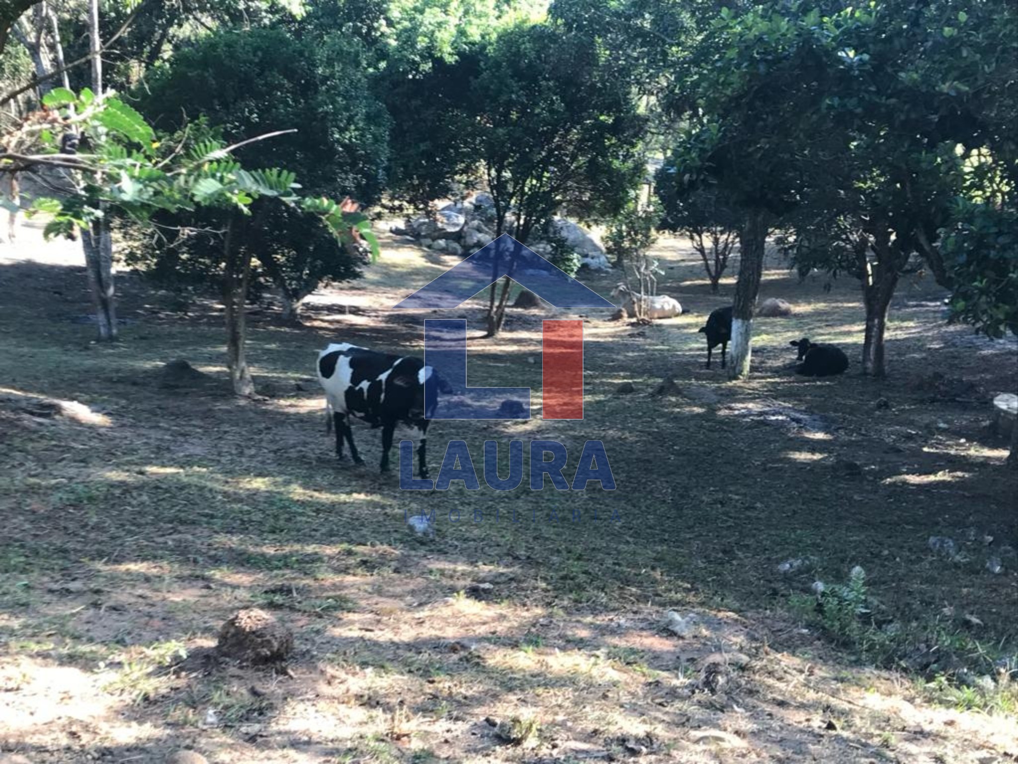 Chácara, 3 quartos, 5100 m² - Foto 16