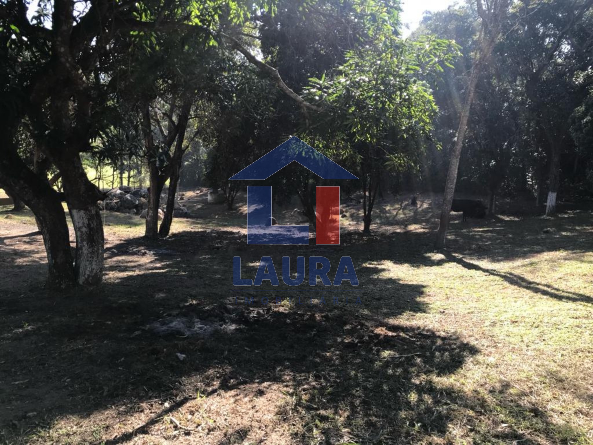 Chácara, 3 quartos, 5100 m² - Foto 14