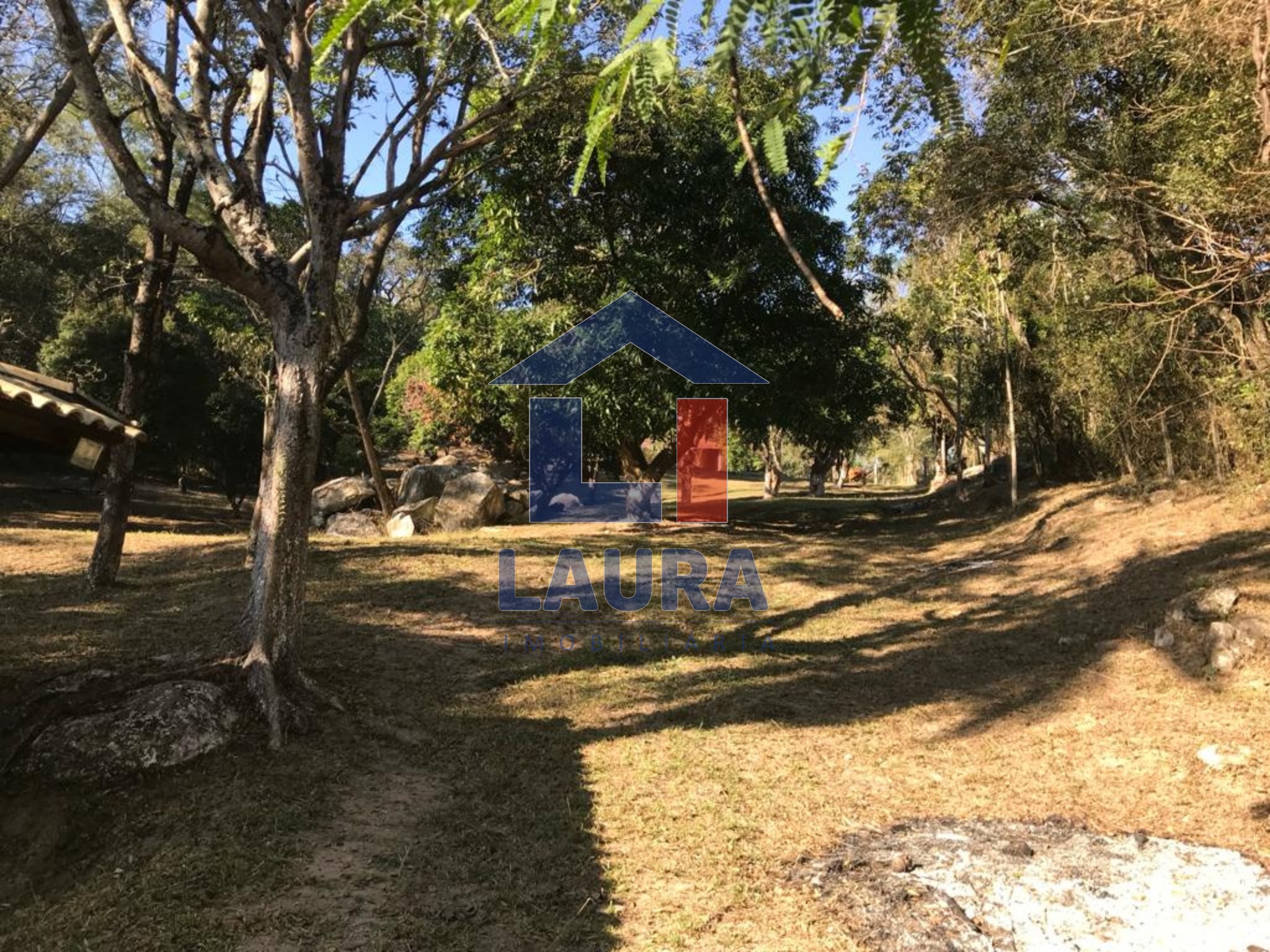 Chácara, 3 quartos, 5100 m² - Foto 5