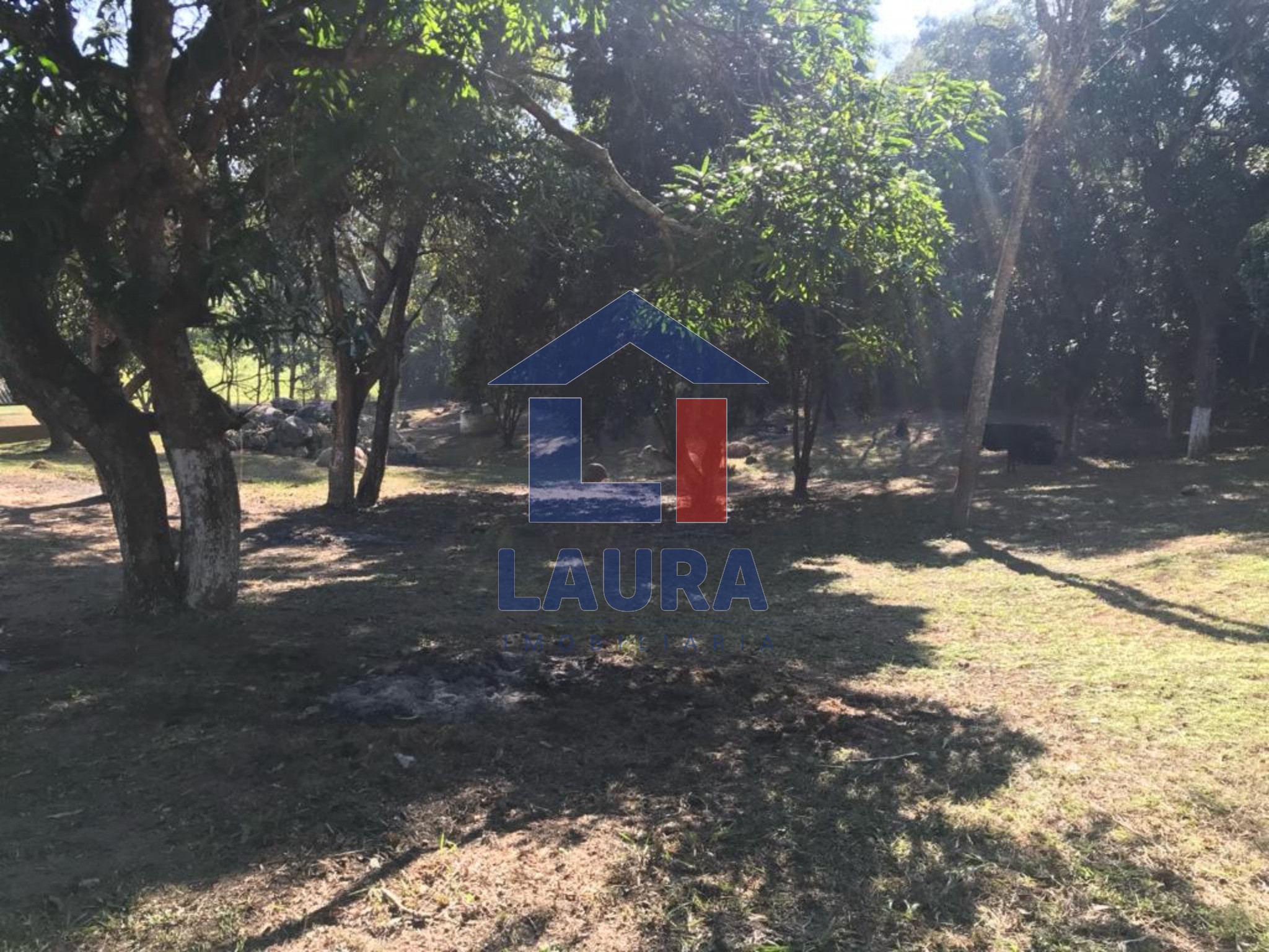 Chácara, 3 quartos, 5100 m² - Foto 7