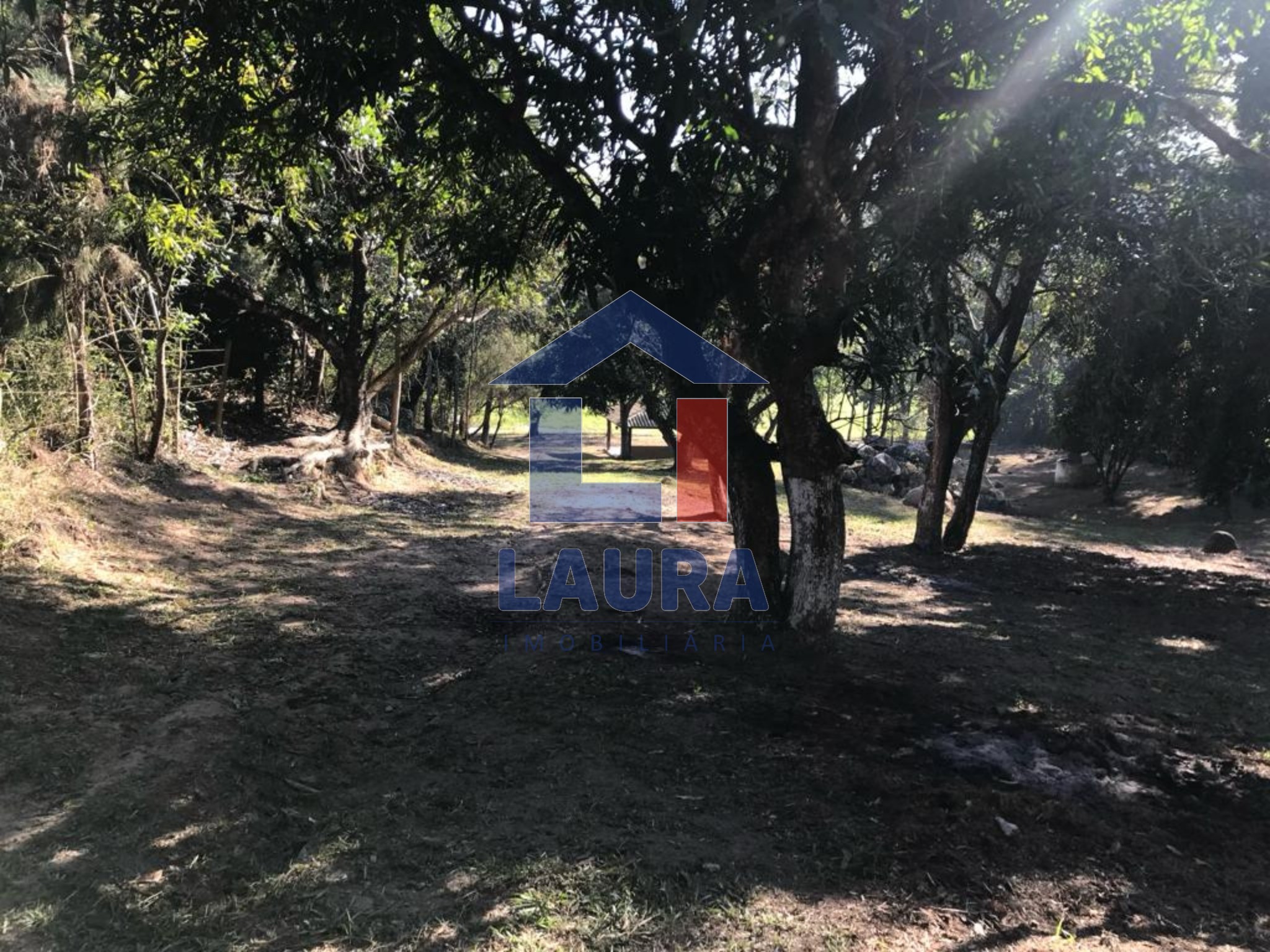 Chácara, 3 quartos, 5100 m² - Foto 3