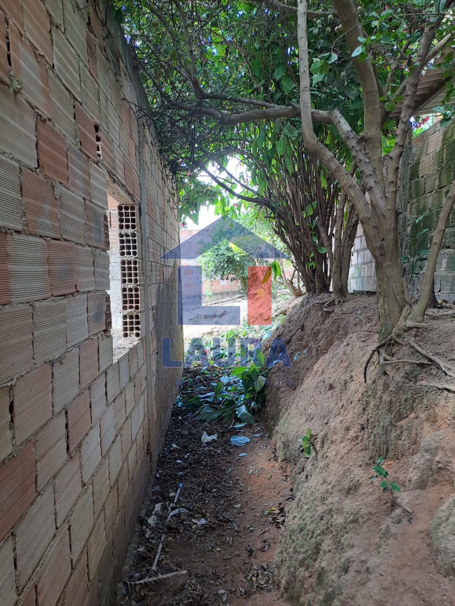 Chácara, 2 quartos, 1000 m² - Foto 9