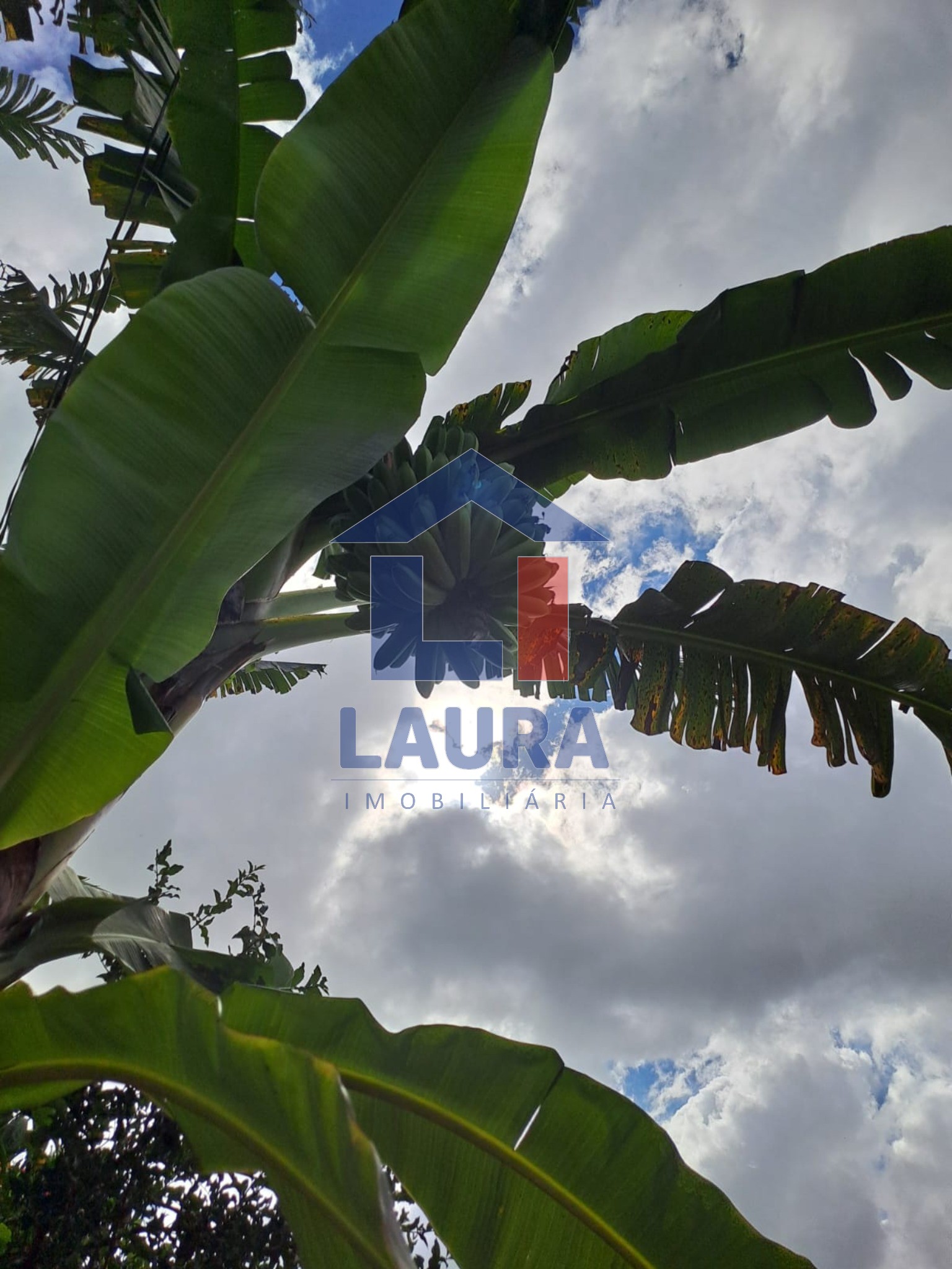 Chácara, 2 quartos, 1000 m² - Foto 2