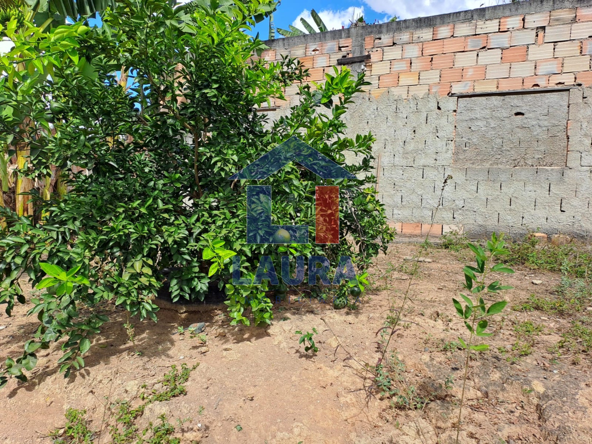 Chácara, 2 quartos, 1000 m² - Foto 5