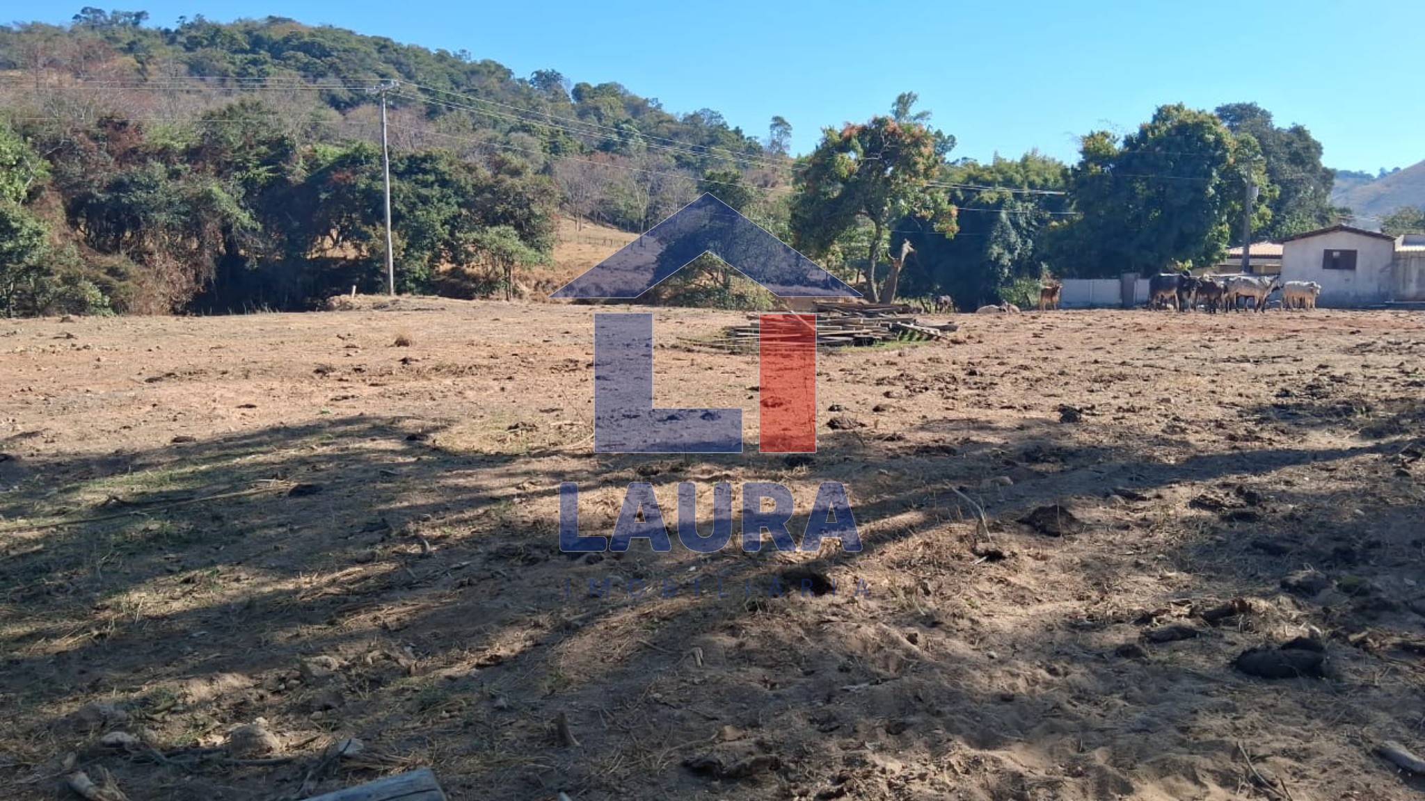 Terreno, 7 hectares - Foto 6