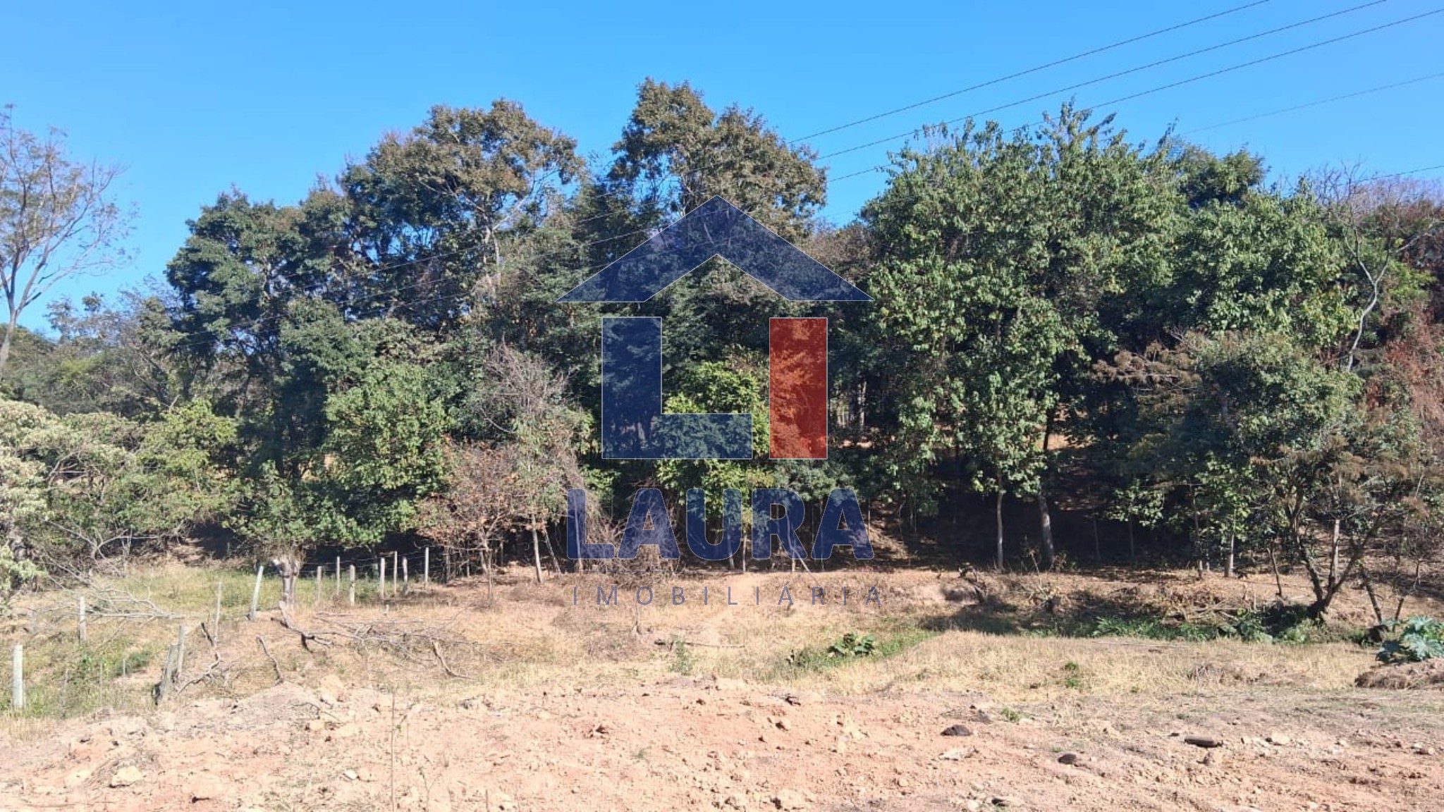 Terreno, 7 hectares - Foto 7