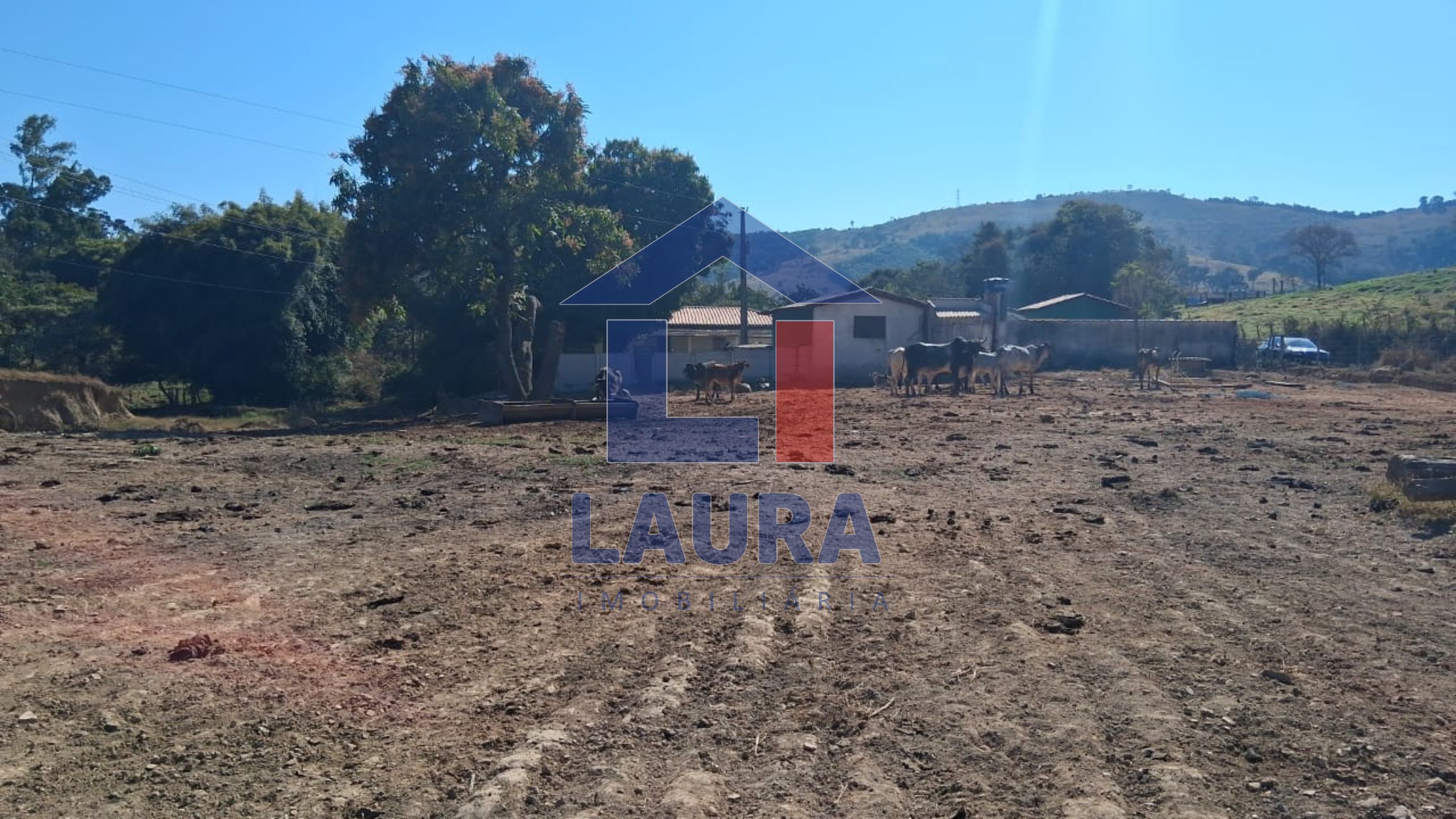 Terreno, 7 hectares - Foto 8
