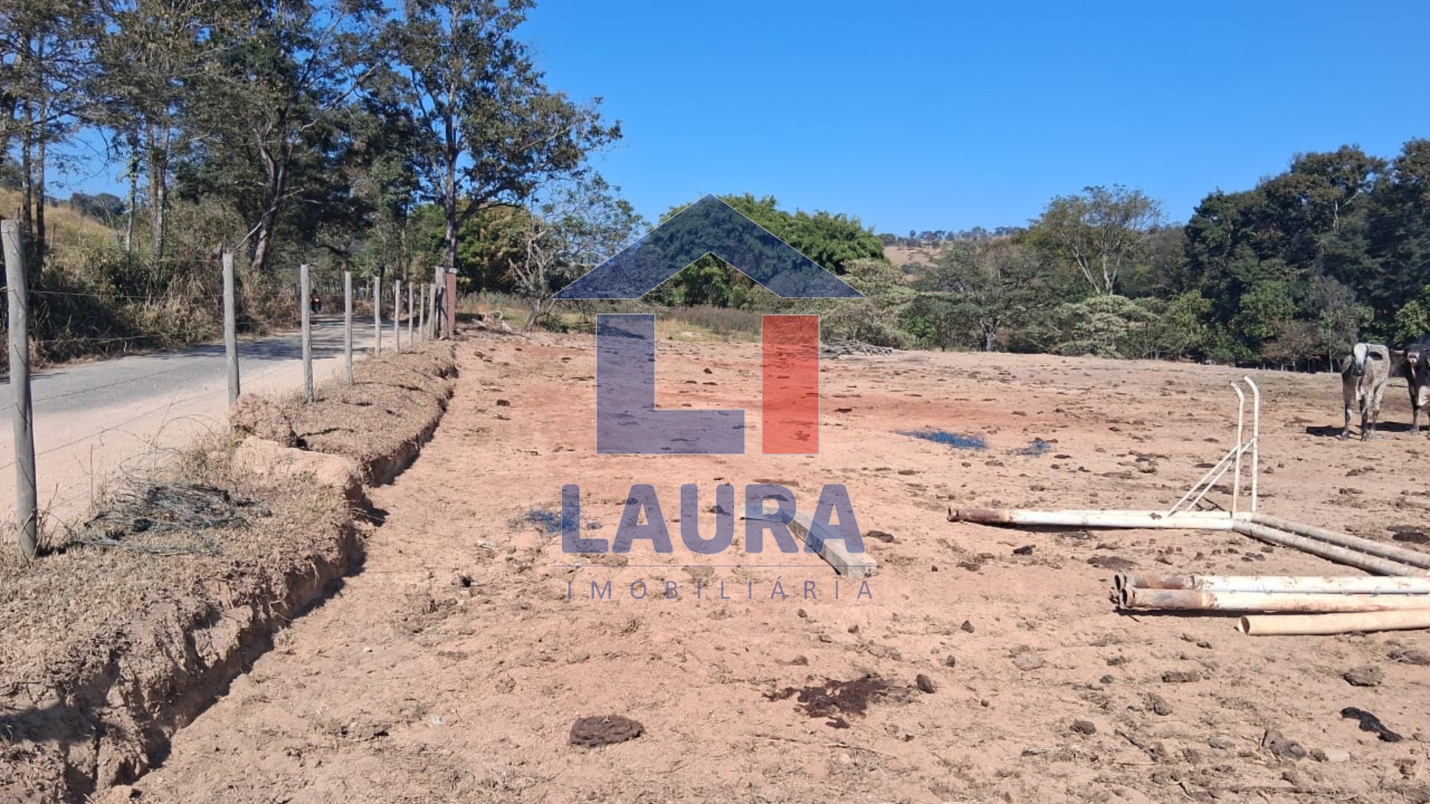 Terreno, 7 hectares - Foto 10