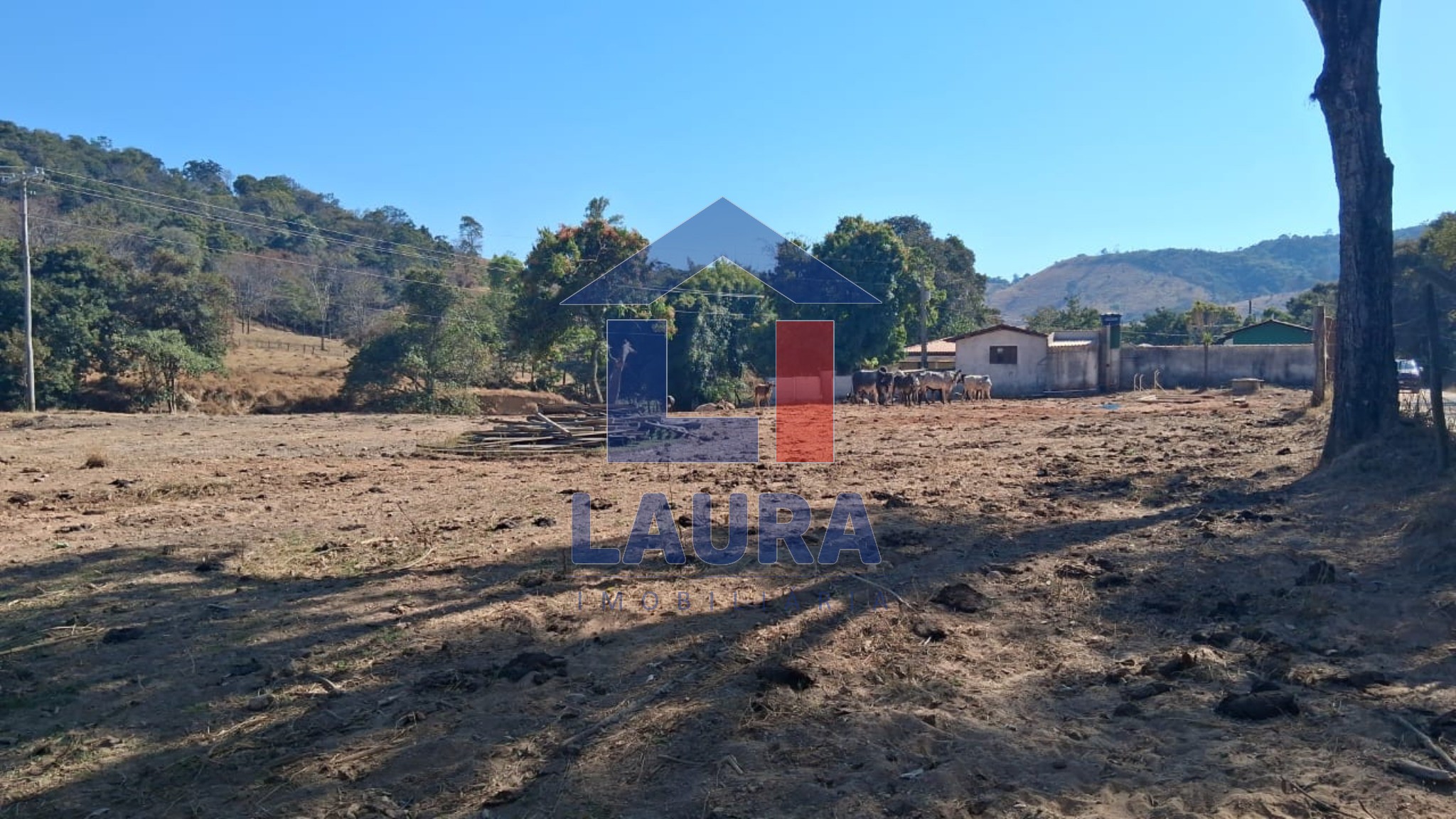 Terreno, 7 hectares - Foto 15