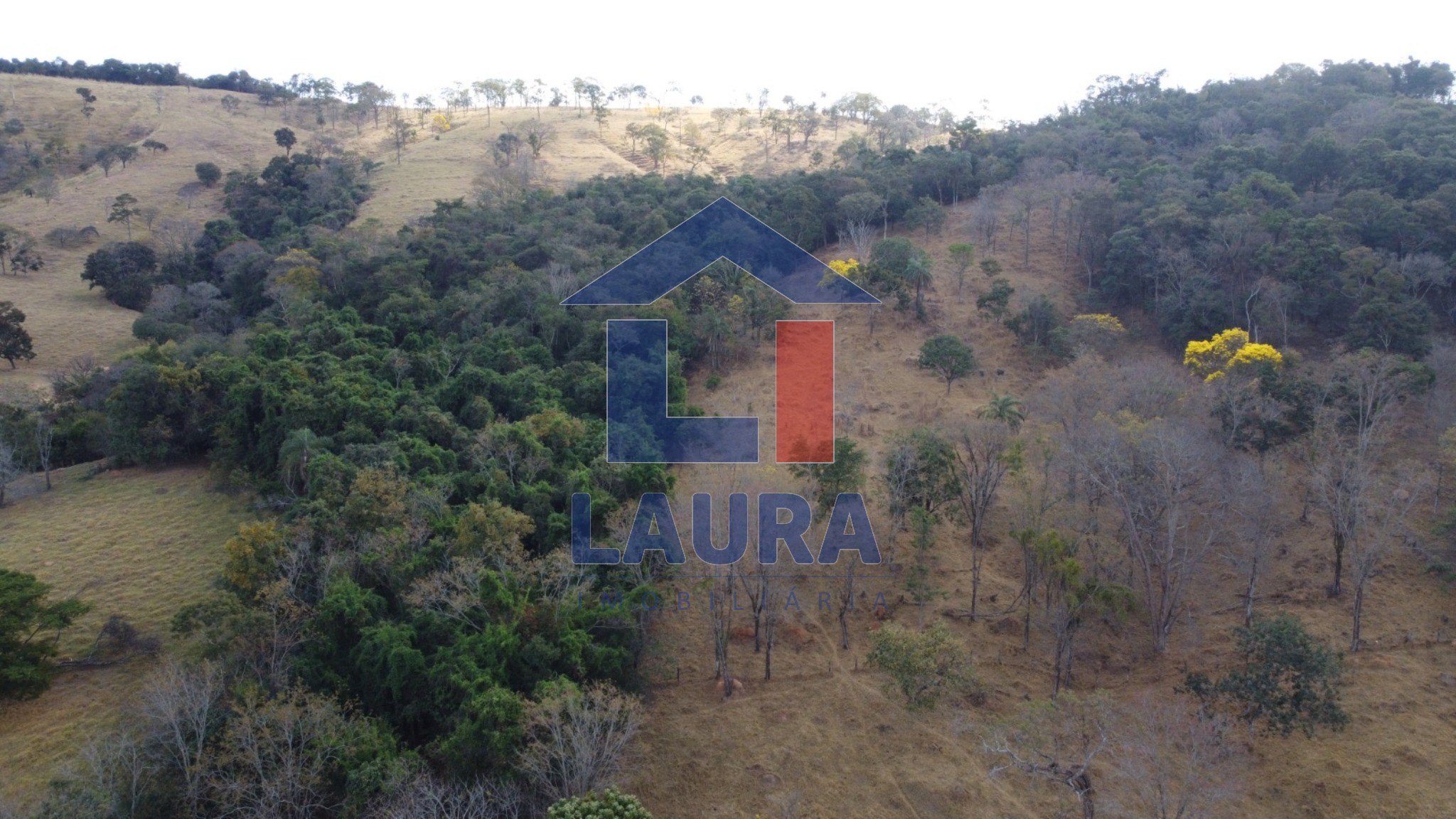 Terreno, 7 hectares - Foto 22