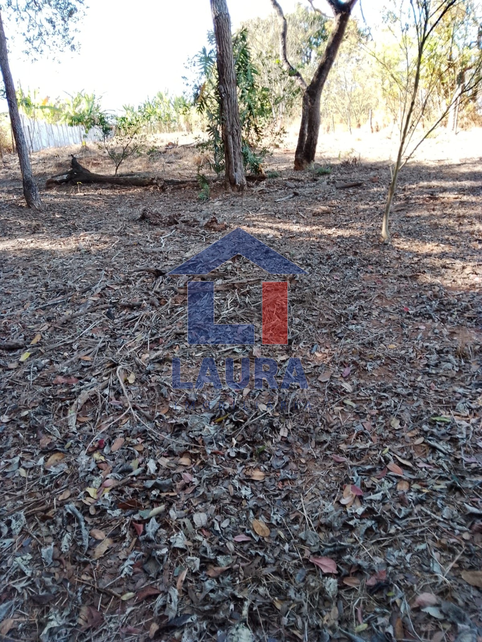 Terreno, 2469 m² - Foto 8