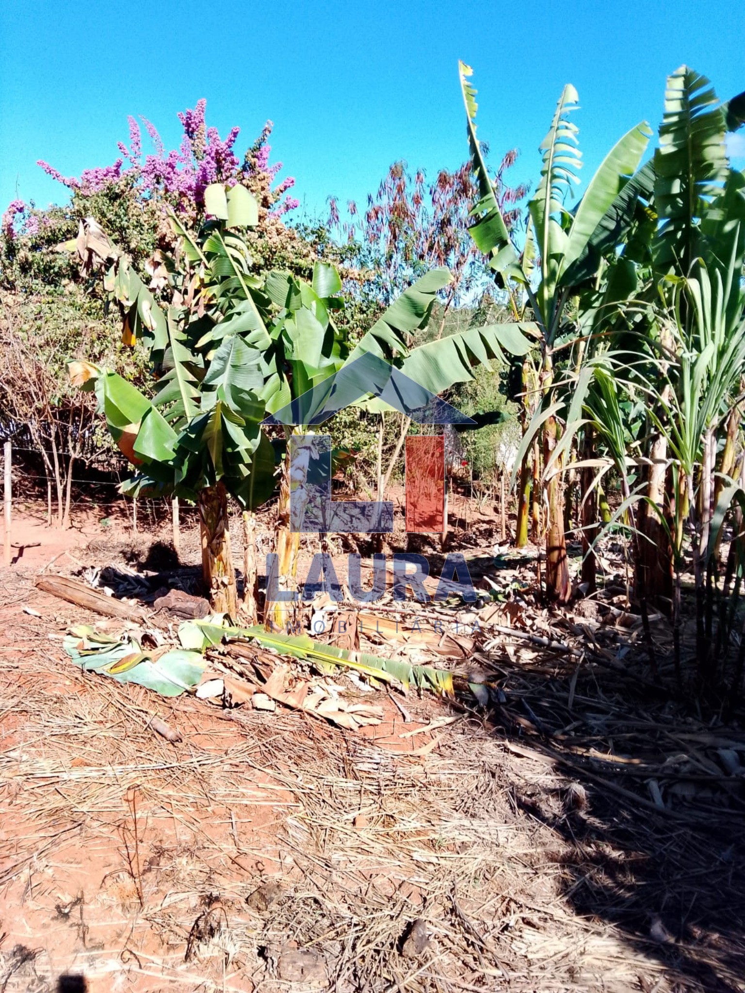 Terreno, 2469 m² - Foto 3