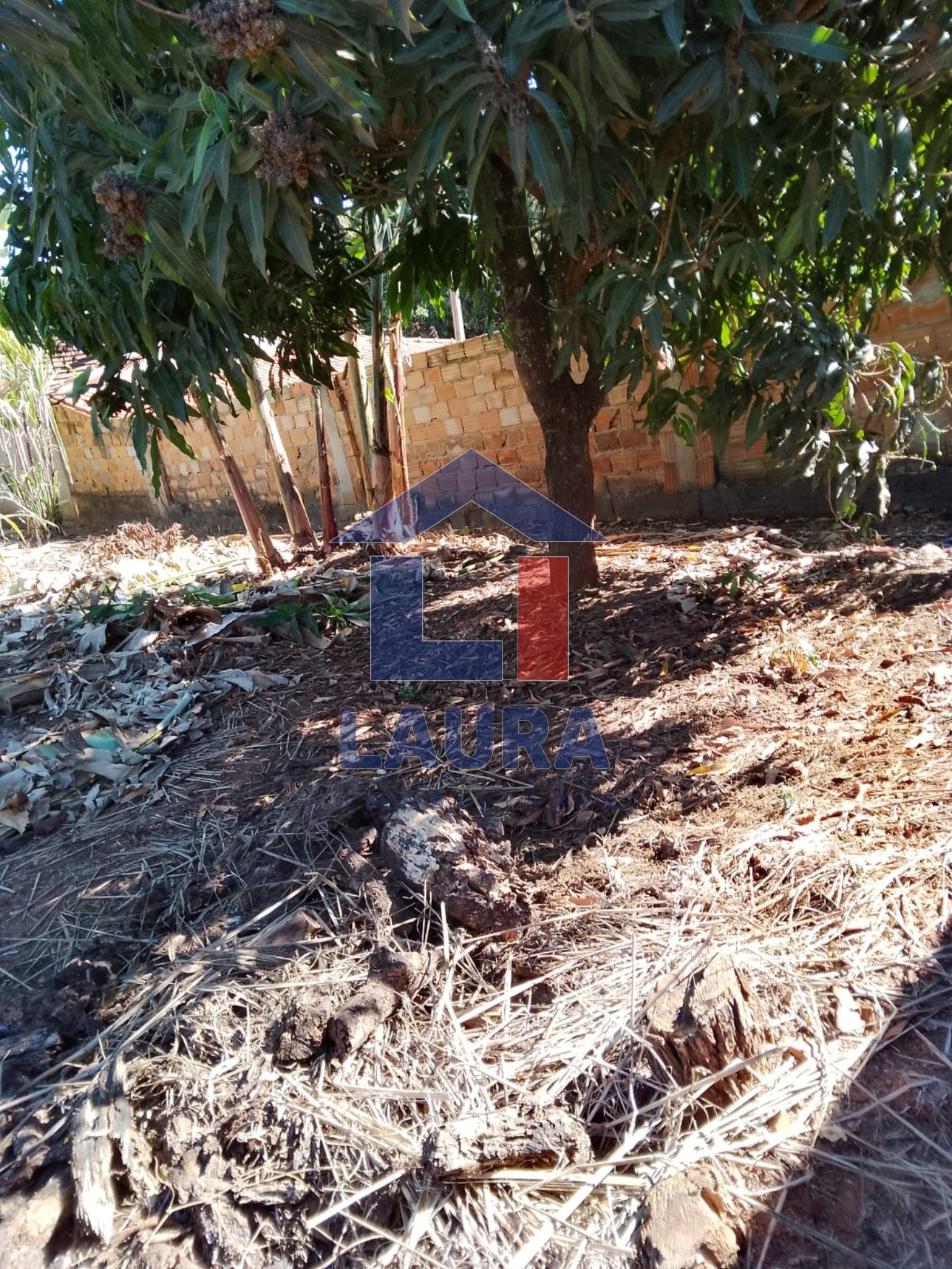 Terreno, 2469 m² - Foto 2