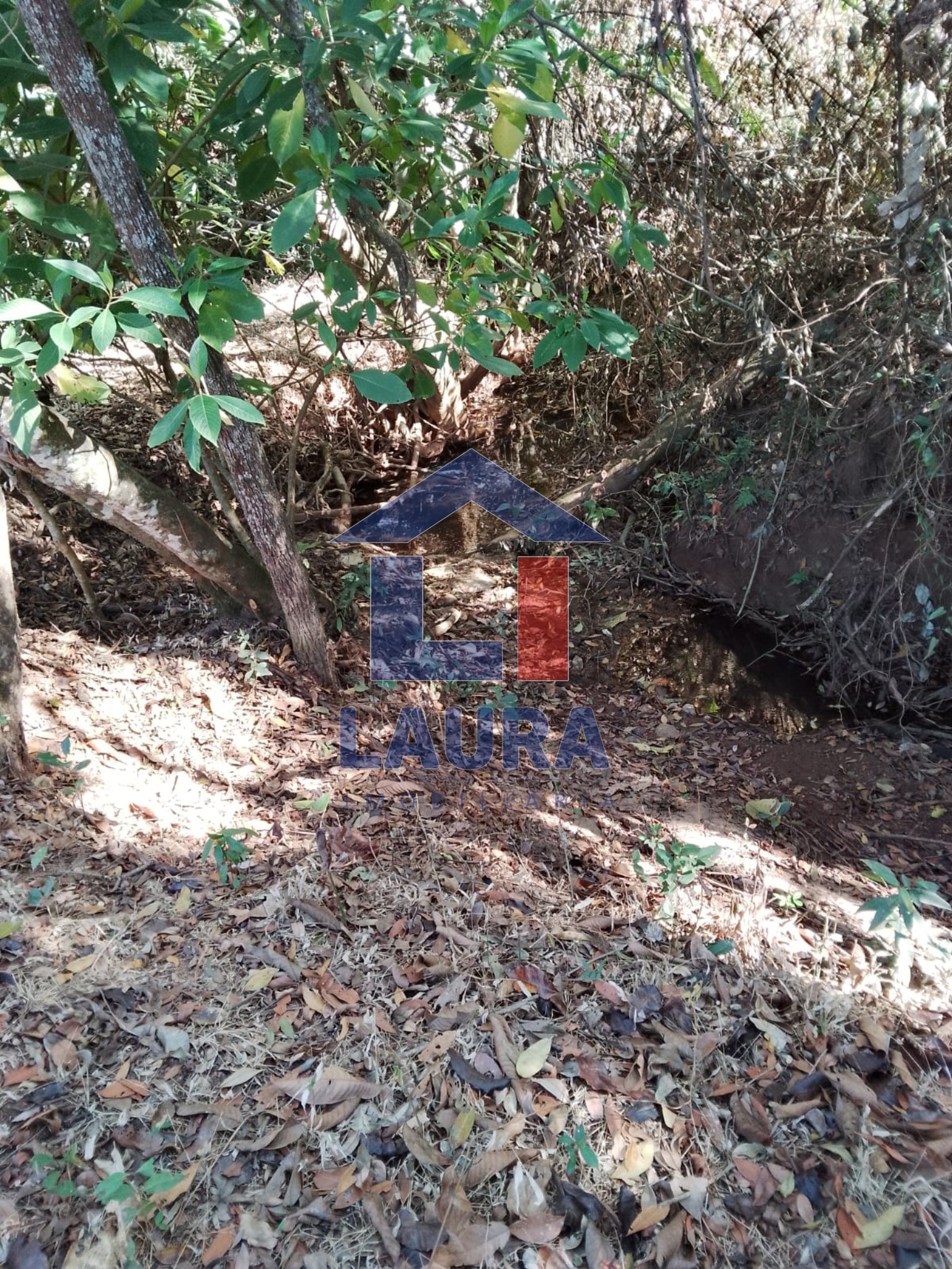 Terreno, 2469 m² - Foto 6