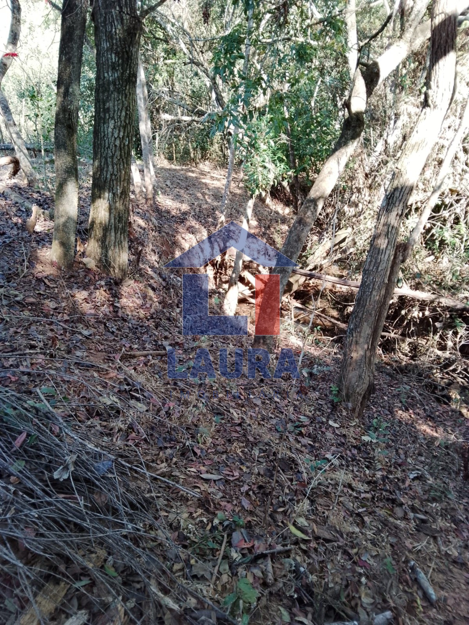 Terreno, 2469 m² - Foto 7