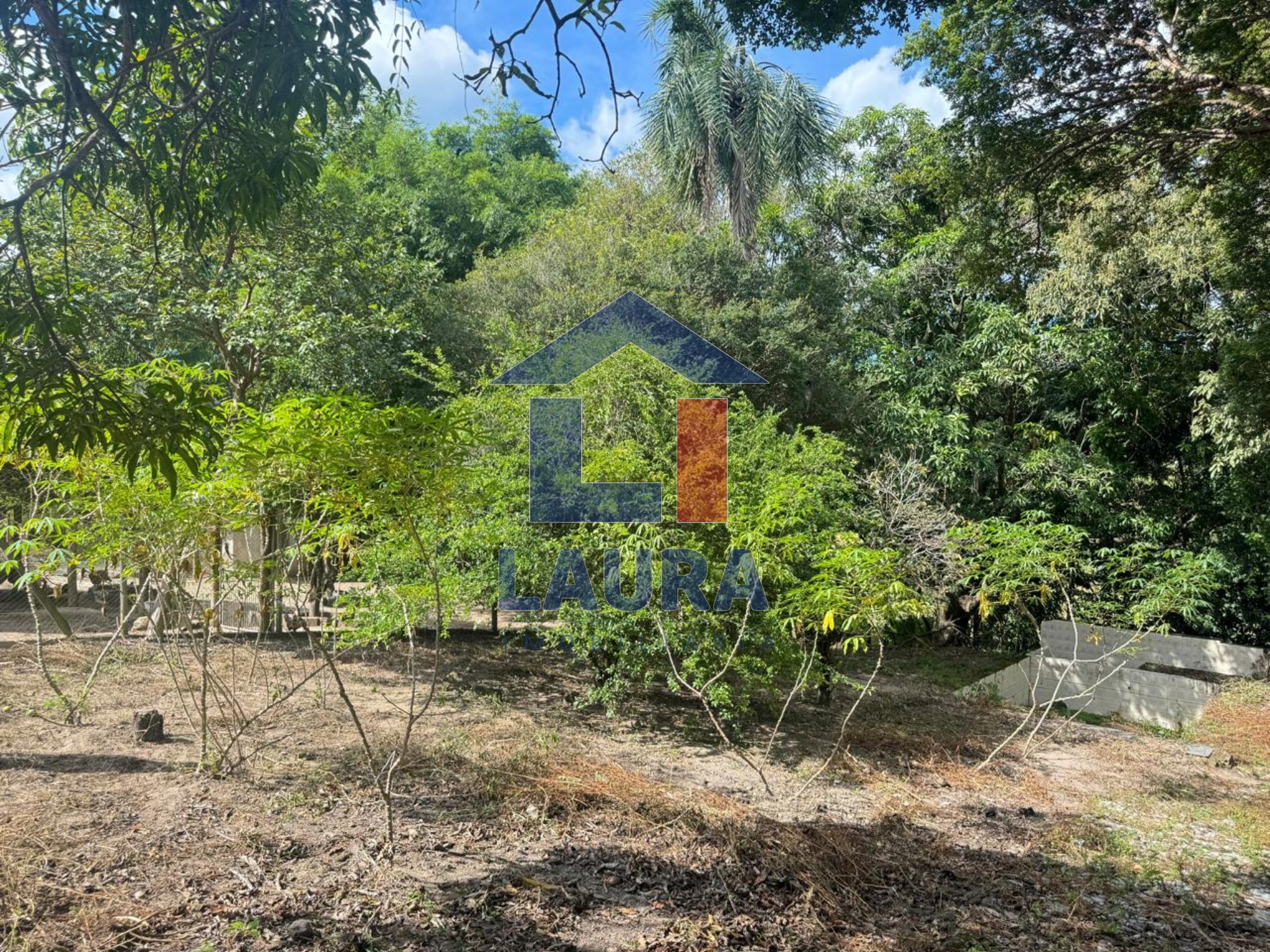 Chácara, 2 quartos - Foto 19