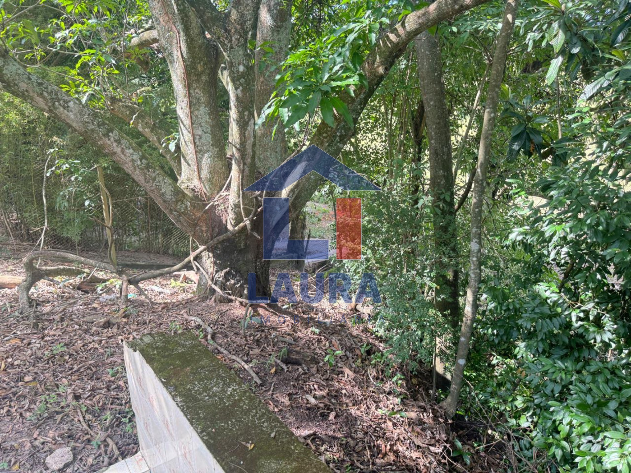 Chácara, 2 quartos - Foto 14