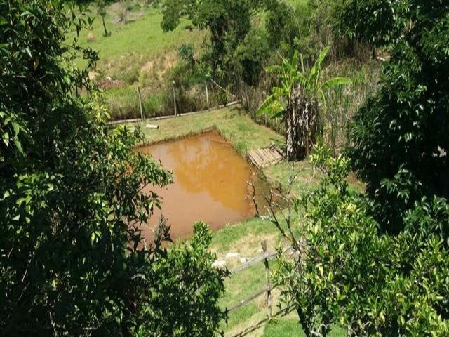 Fazenda à venda com 3 quartos, 110m² - Foto 4