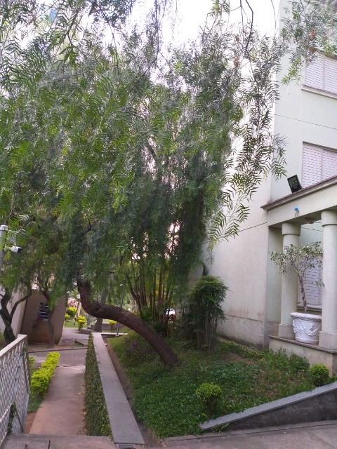 Apartamento, 3 quartos, 76 m² - Foto 26