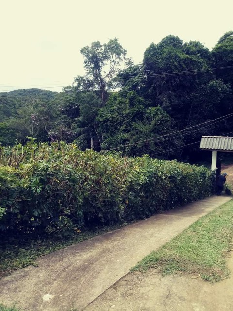 Fazenda à venda com 2 quartos, 2000m² - Foto 12