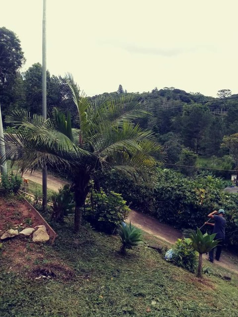 Fazenda à venda com 2 quartos, 2000m² - Foto 15