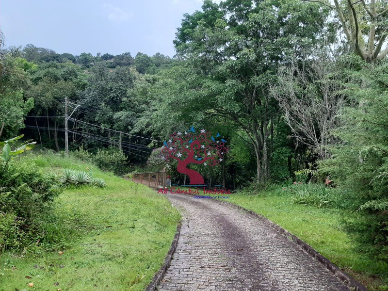 Fazenda à venda com 4 quartos, 2820m² - Foto 5