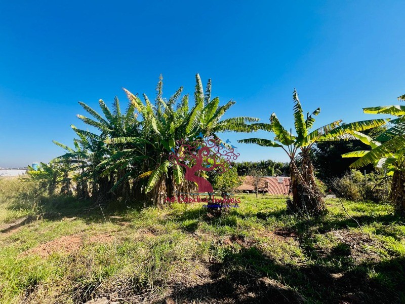 Fazenda à venda com 2 quartos, 10037m² - Foto 23