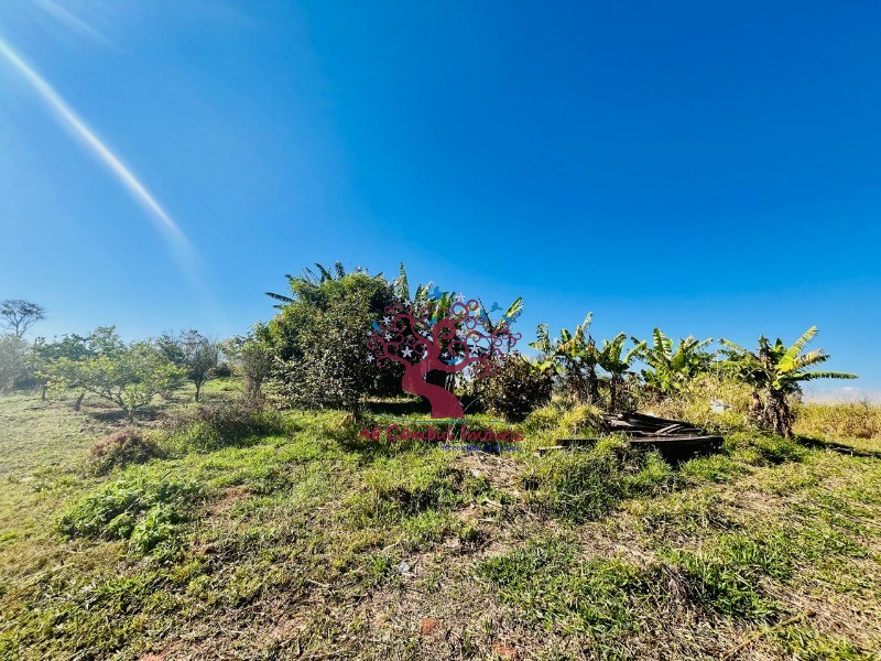 Fazenda à venda com 2 quartos, 10037m² - Foto 27