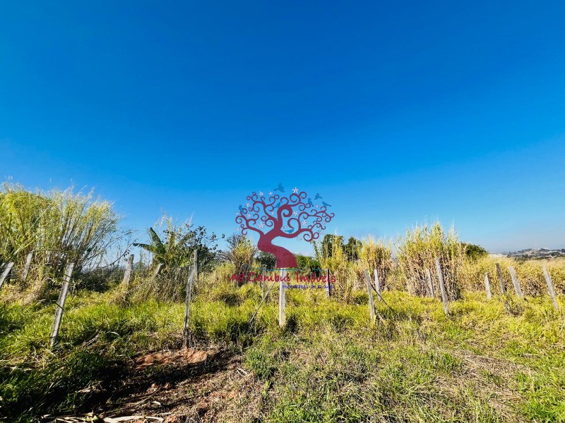 Fazenda à venda com 2 quartos, 10037m² - Foto 24