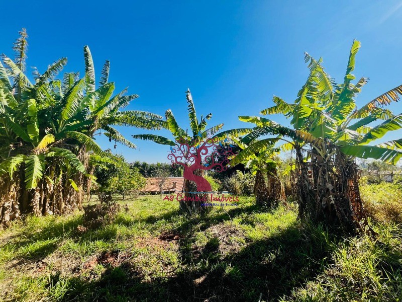 Fazenda à venda com 2 quartos, 10037m² - Foto 20