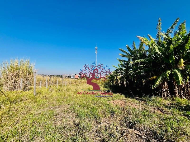 Fazenda à venda com 2 quartos, 10037m² - Foto 22