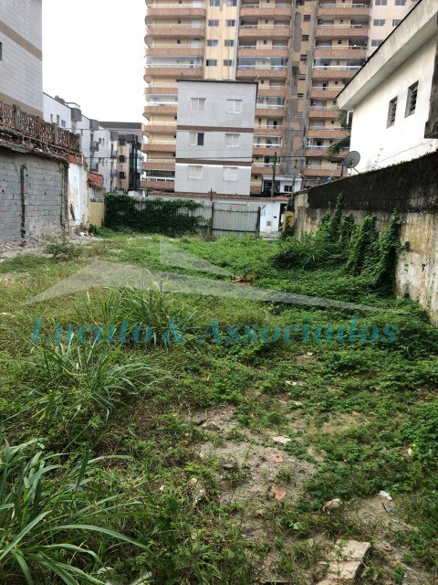 Terreno à venda, 330m² - Foto 1