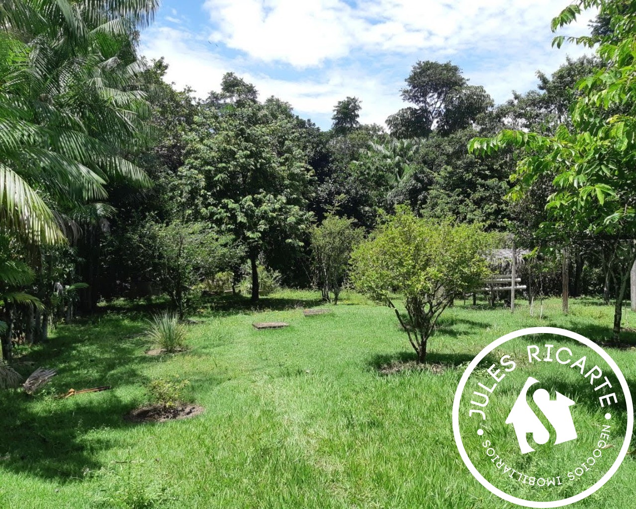 Fazenda à venda, 24000m² - Foto 8