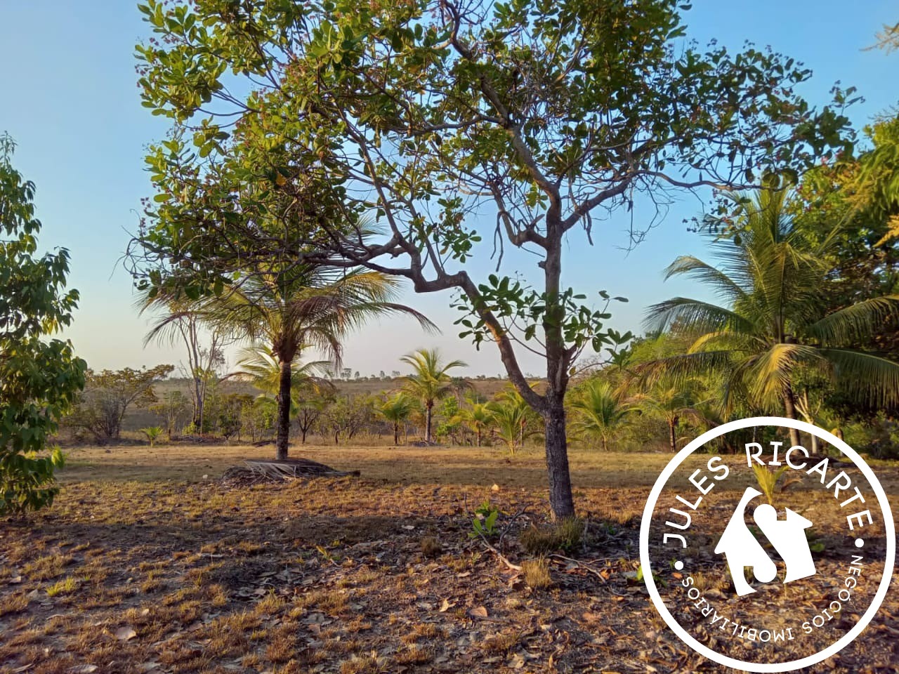 Fazenda à venda com 3 quartos, 390000m² - Foto 19