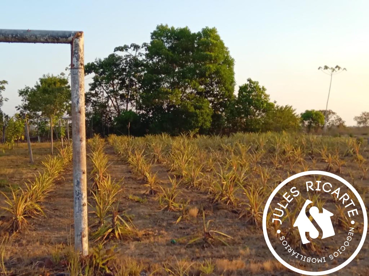 Fazenda à venda com 3 quartos, 390000m² - Foto 21