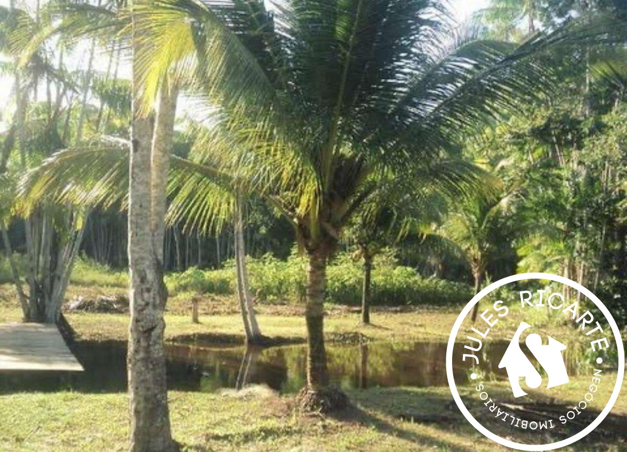 Terreno, 2 m² - Foto 4