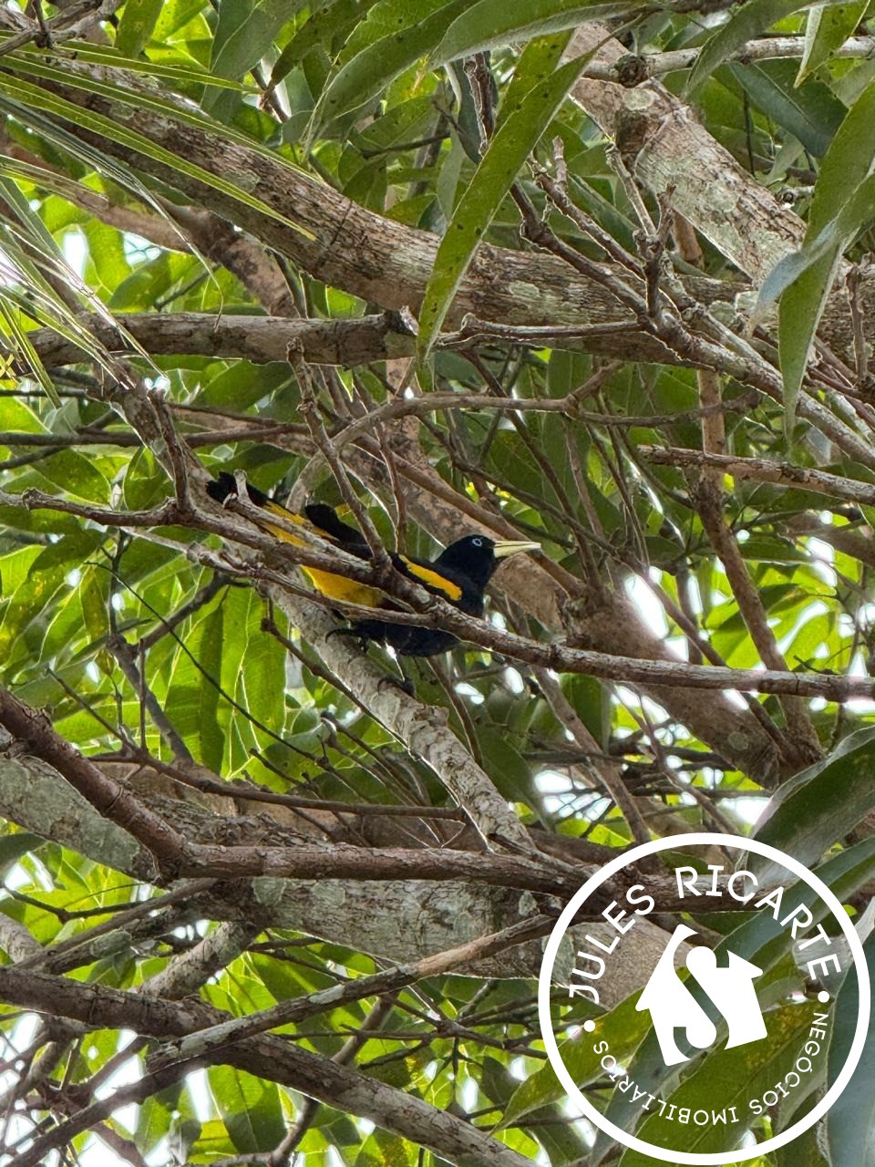 Terreno, 91697 m² - Foto 9