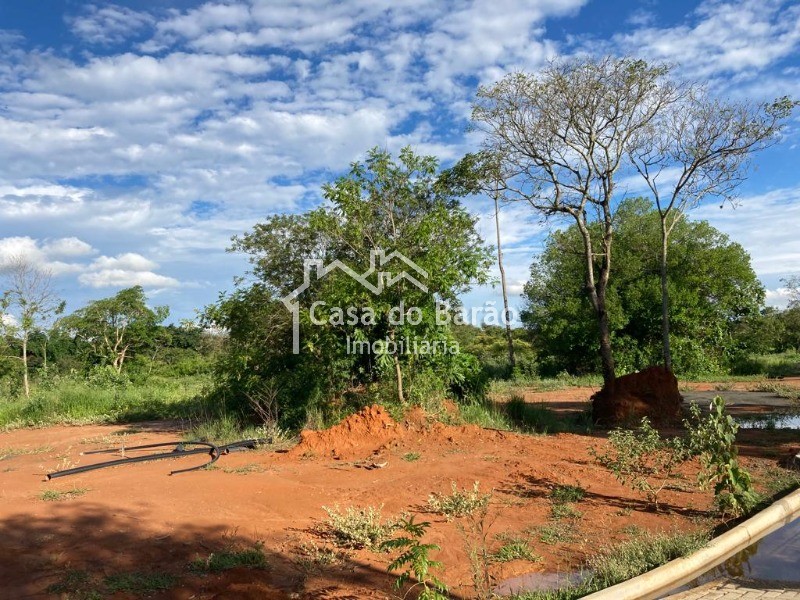 Terreno à venda, 1000m² - Foto 2