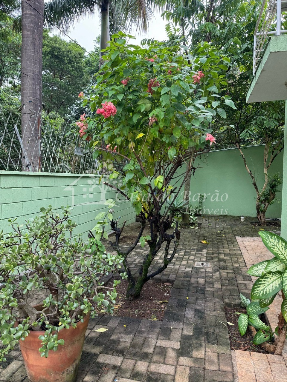 Casa, 3 quartos - Foto 33