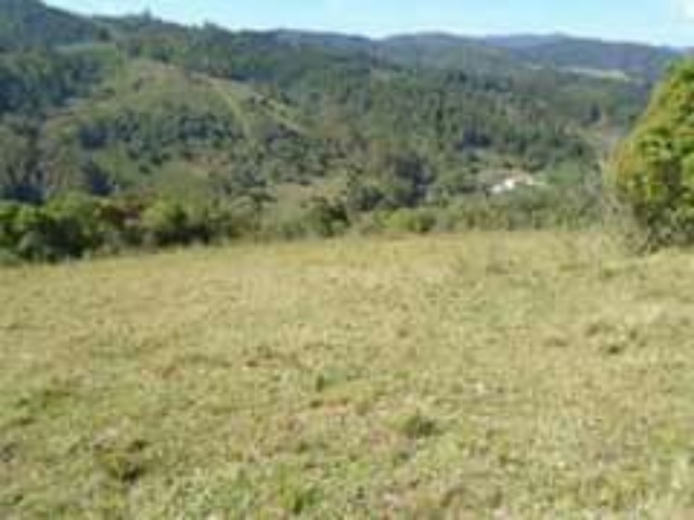 Fazenda à venda, 12000m² - Foto 5